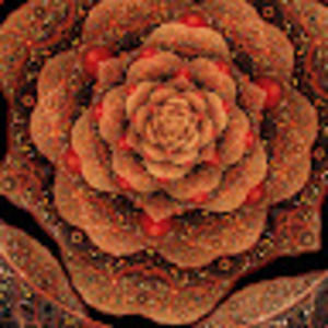 Meet your Posher, Logan